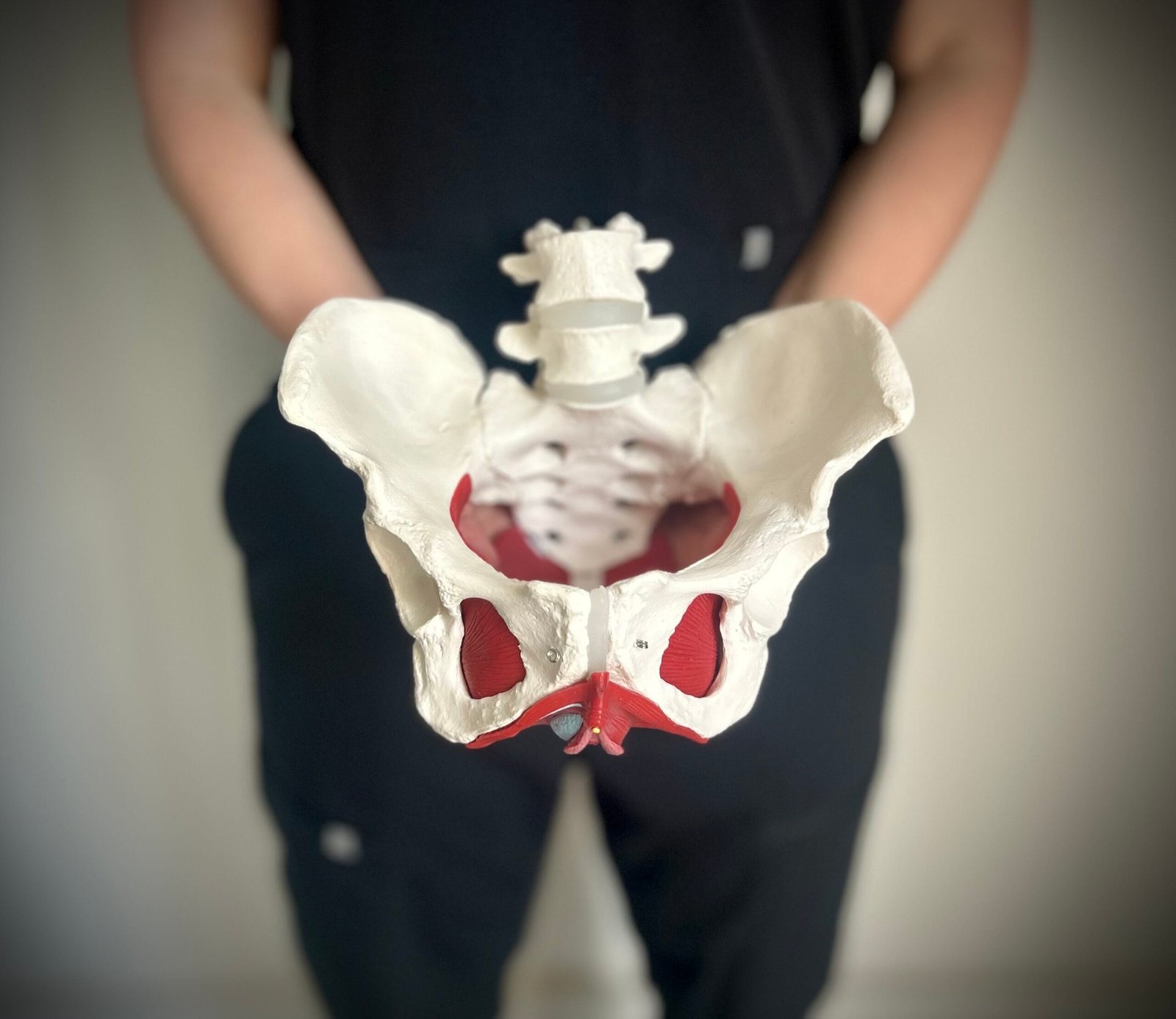 Pelvic floor therapy