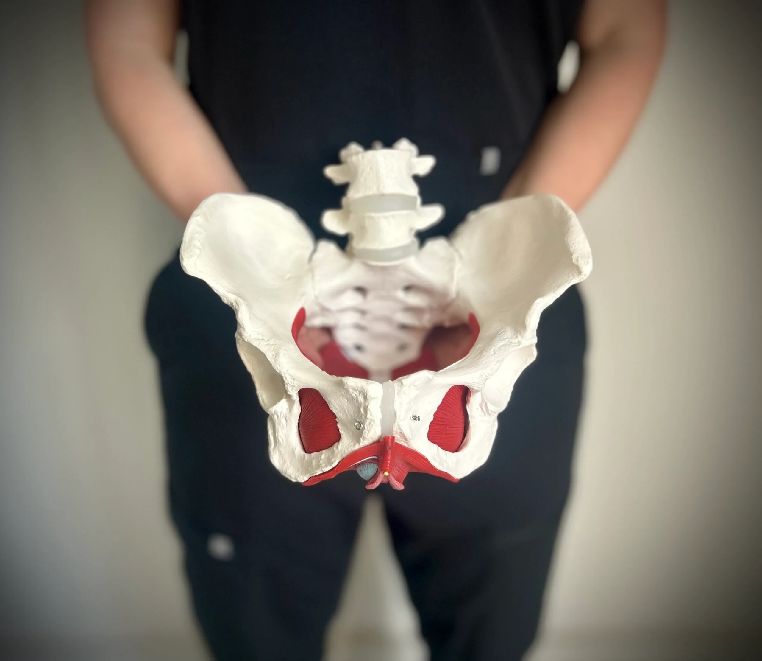 Pelvic floor therapy